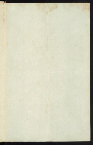 2167 007